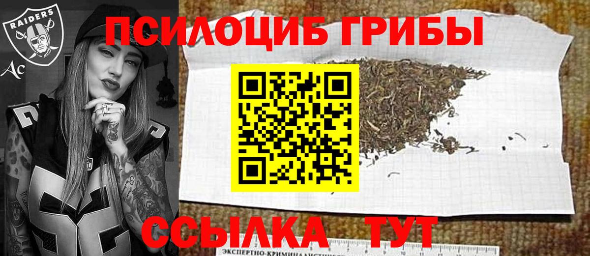 Псилоцибиновые грибы мухоморы Сухой Лог